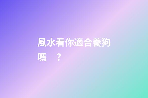 風水看你適合養狗嗎？
